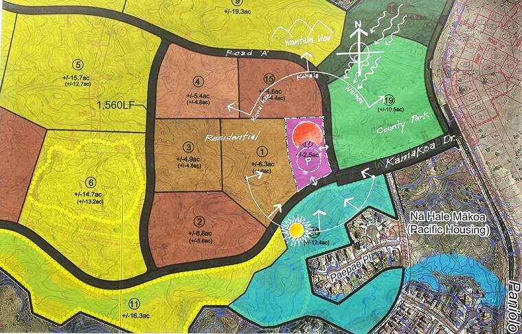 Zoning and environmental conditions map